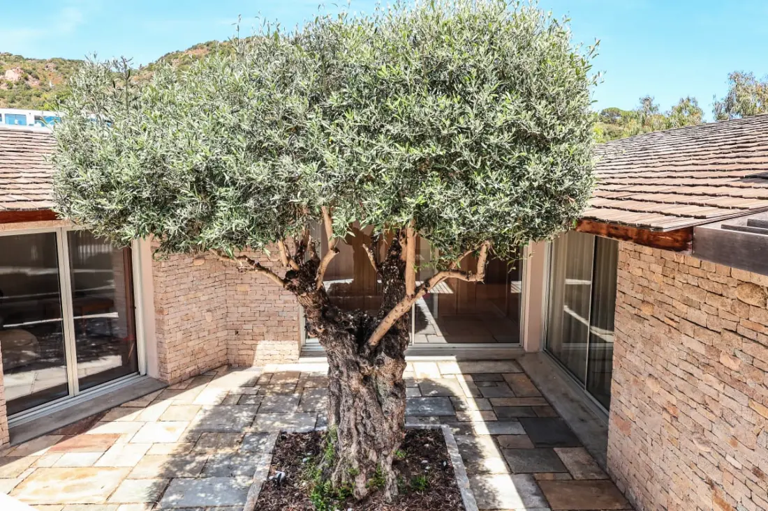 Résidence Villa Terra Di Palombaggia