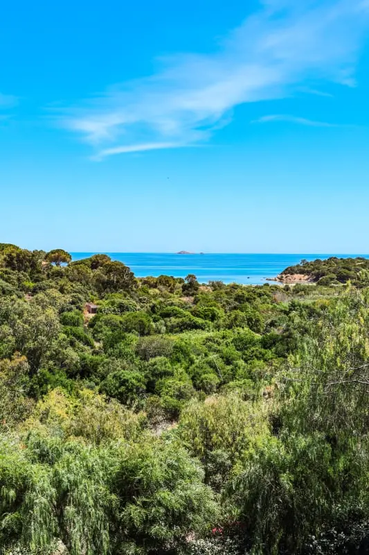 Résidence Villa Terra Di Palombaggia