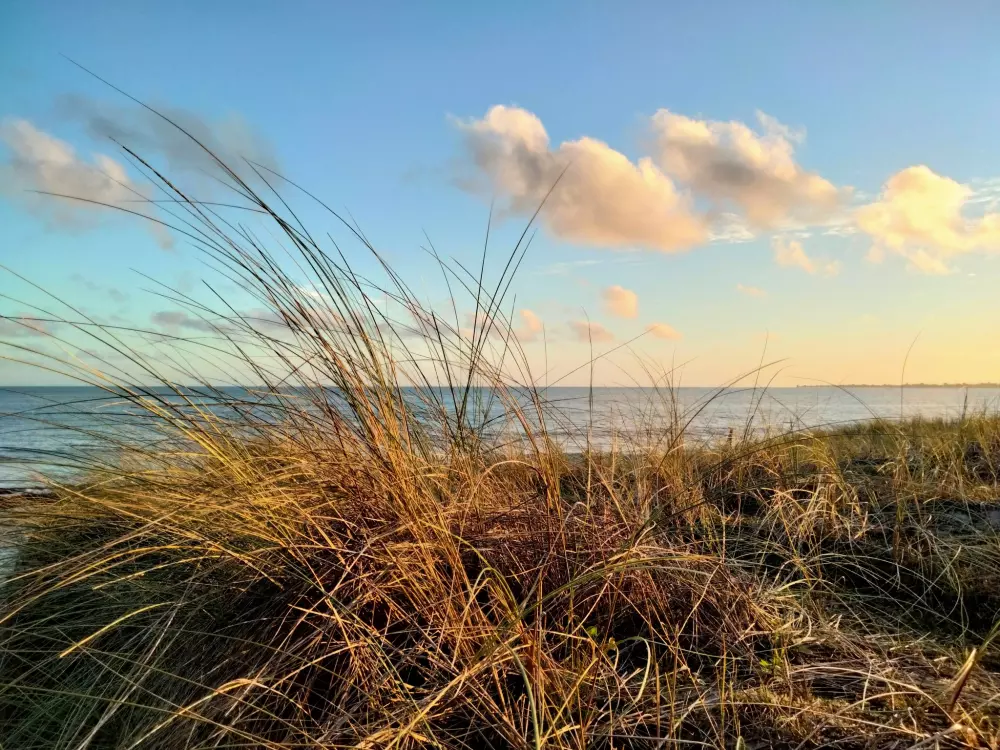 Maison de Vacances Pouldreuzic