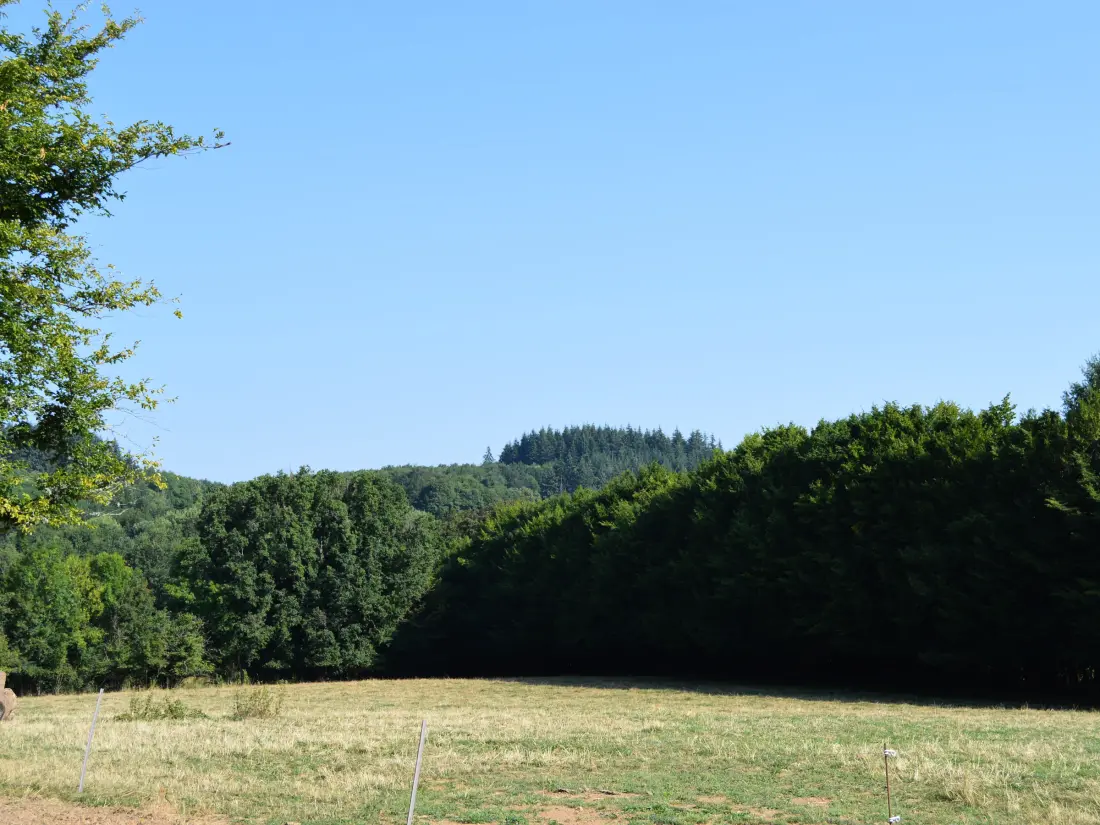 Maison de Vacances Pouligny-Notre-Dame 2