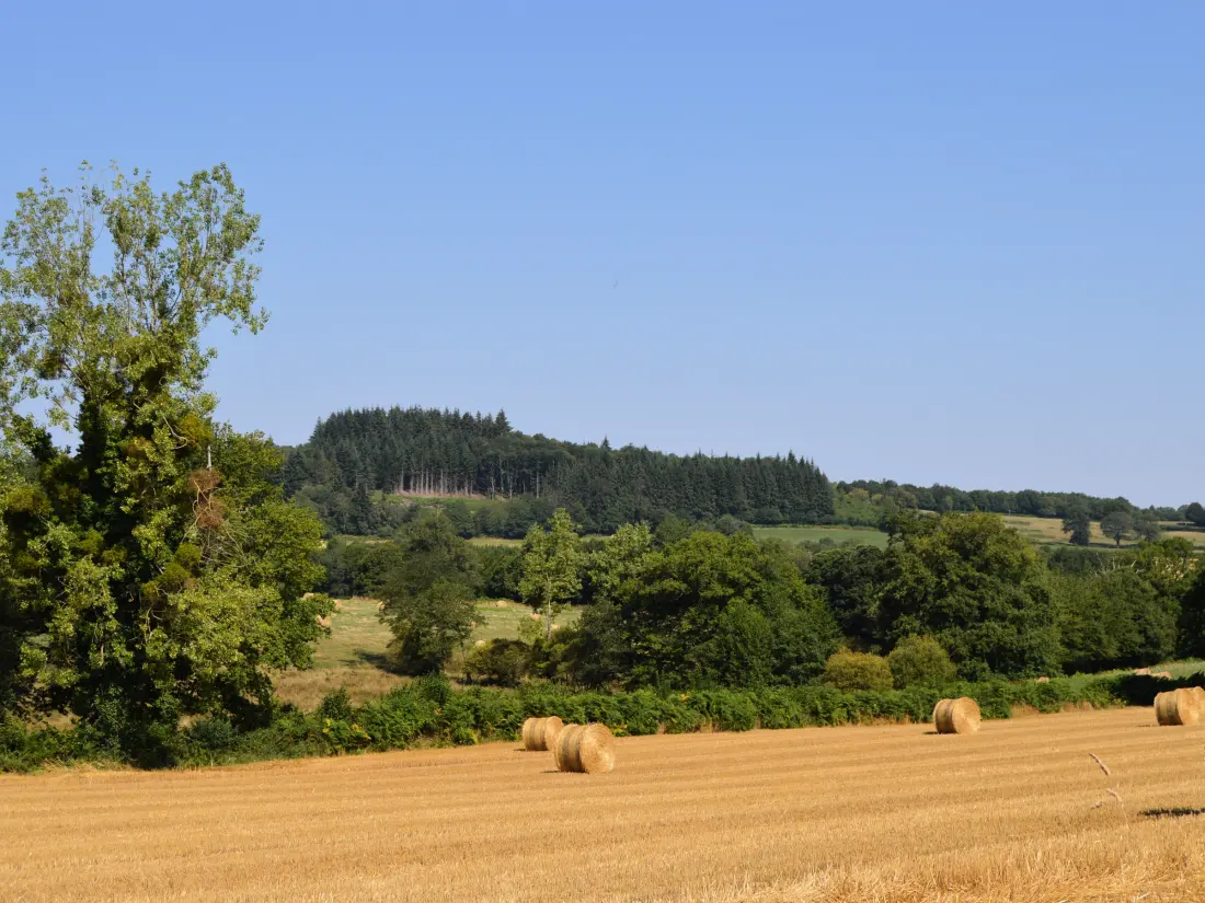 Maison de Vacances Pouligny-Notre-Dame