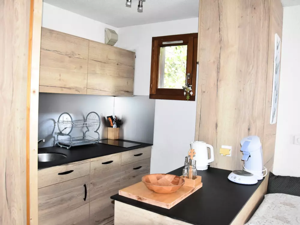 Location de Vacances Pralognan-la-Vanoise 101