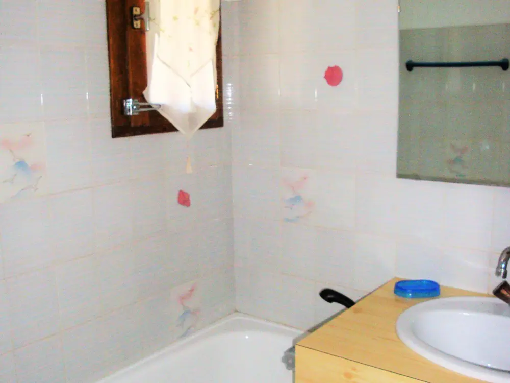 Location de Vacances Pralognan-la-Vanoise 119