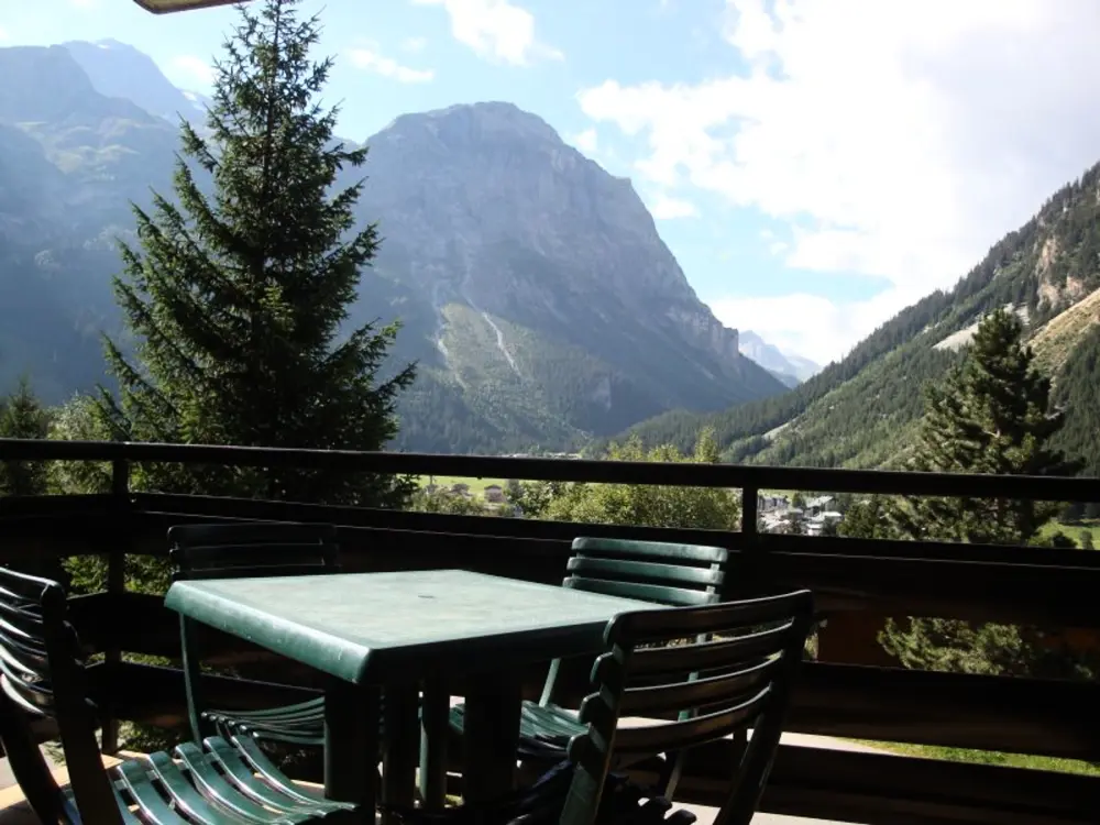 Location de Vacances Pralognan-la-Vanoise 119