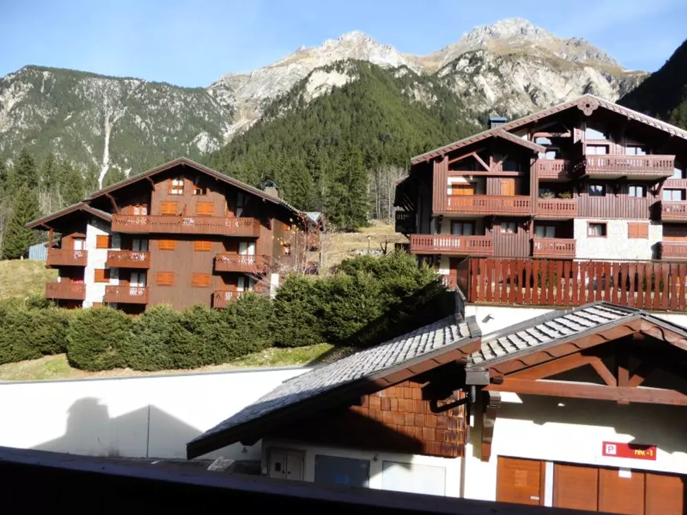 Location de Vacances Pralognan-la-Vanoise 120