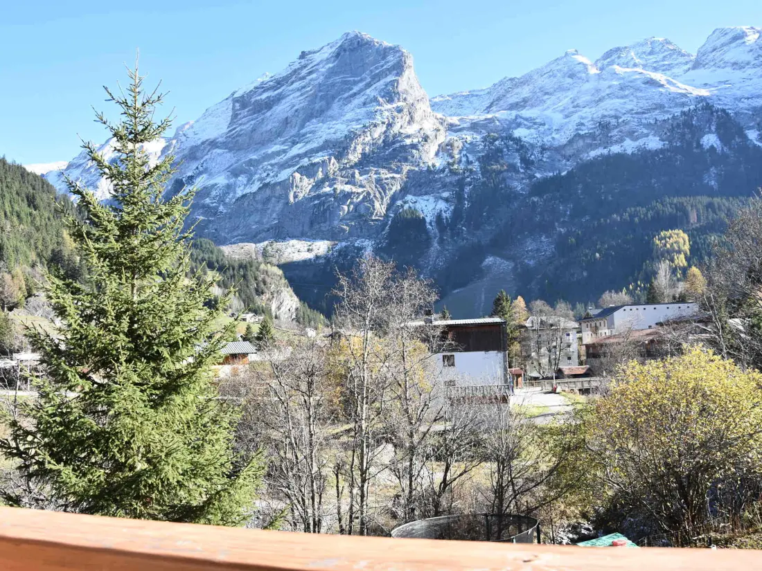 Location de Vacances Pralognan-la-Vanoise 144