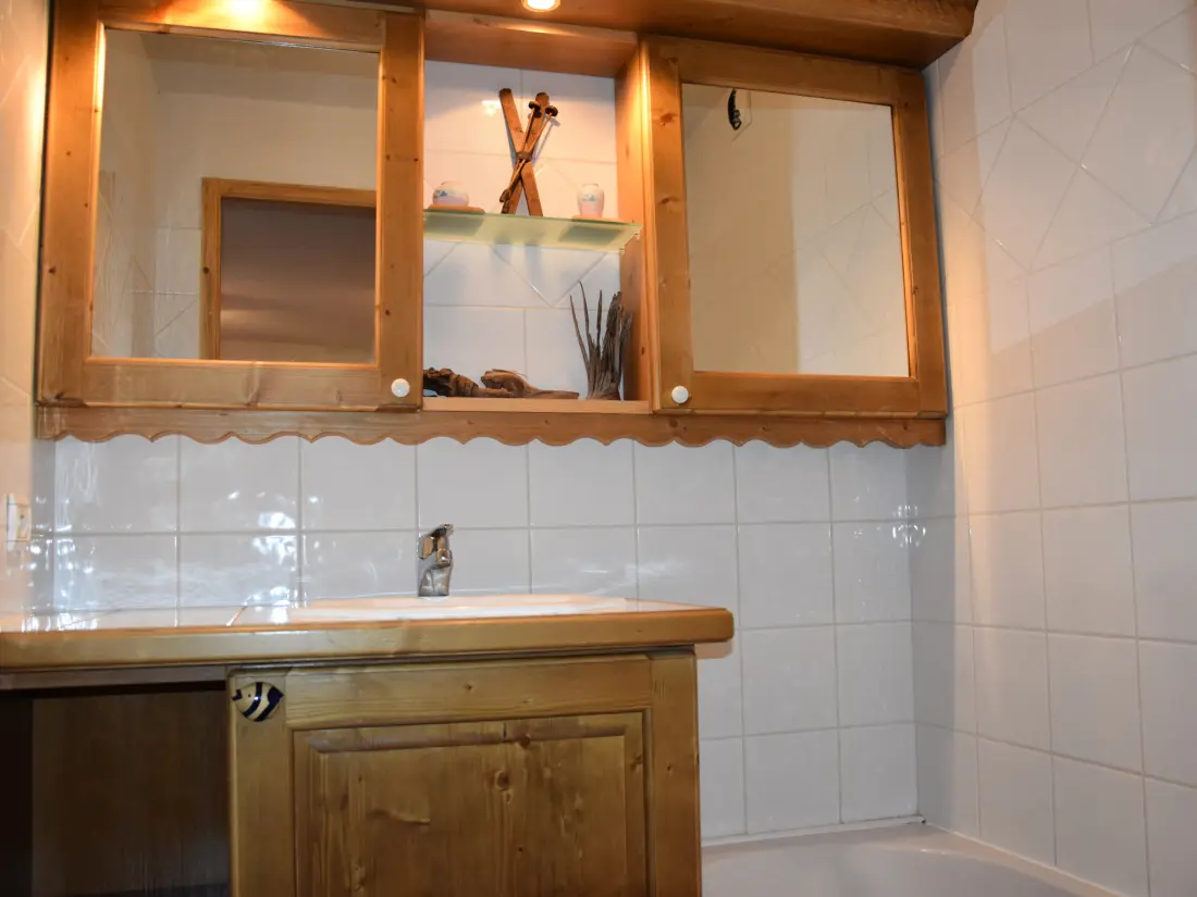 Location de Vacances Pralognan-la-Vanoise 163