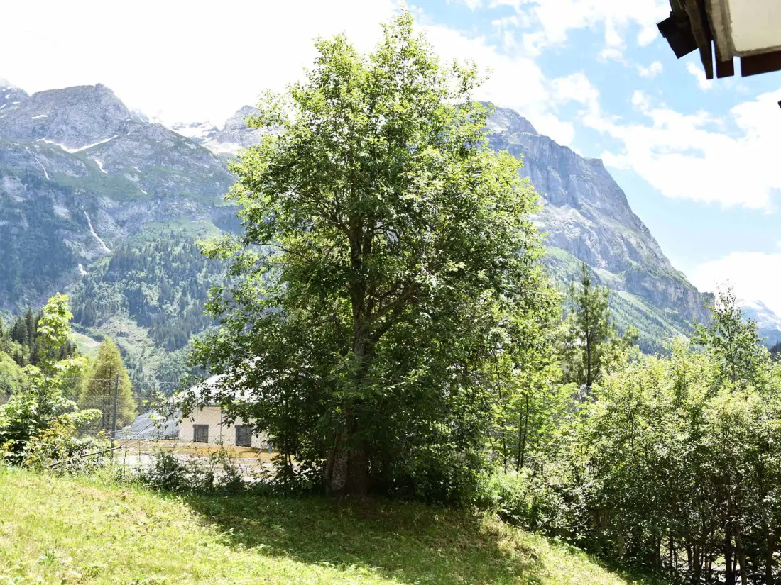 Location de Vacances Pralognan-la-Vanoise 163