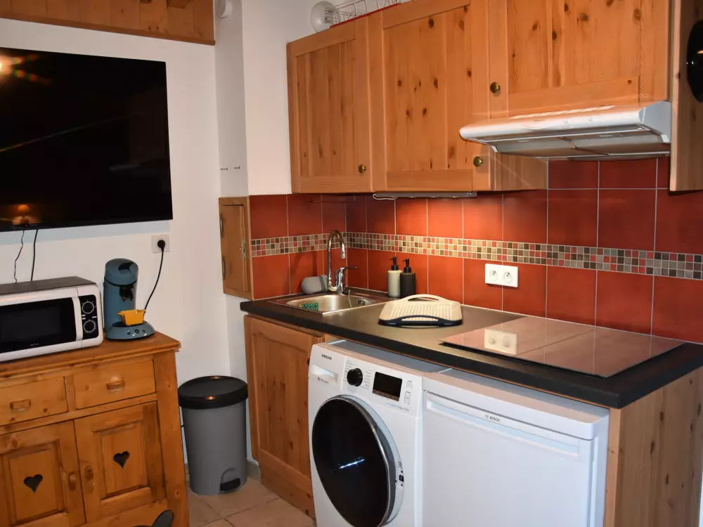 Location de Vacances Pralognan-la-Vanoise 173