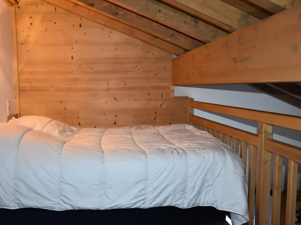 Location de Vacances Pralognan-la-Vanoise 173