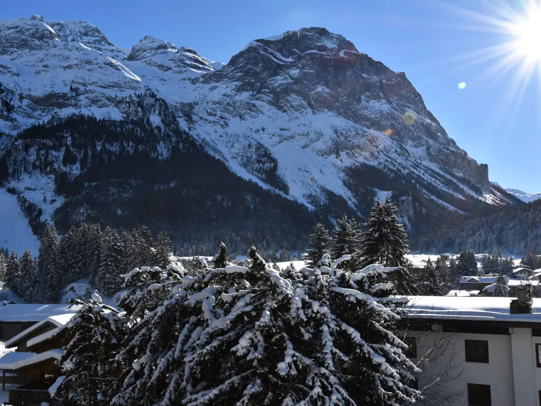 Location de Vacances Pralognan-la-Vanoise 178