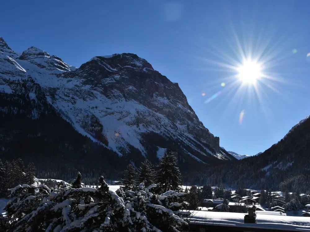 Location de Vacances Pralognan-la-Vanoise 178