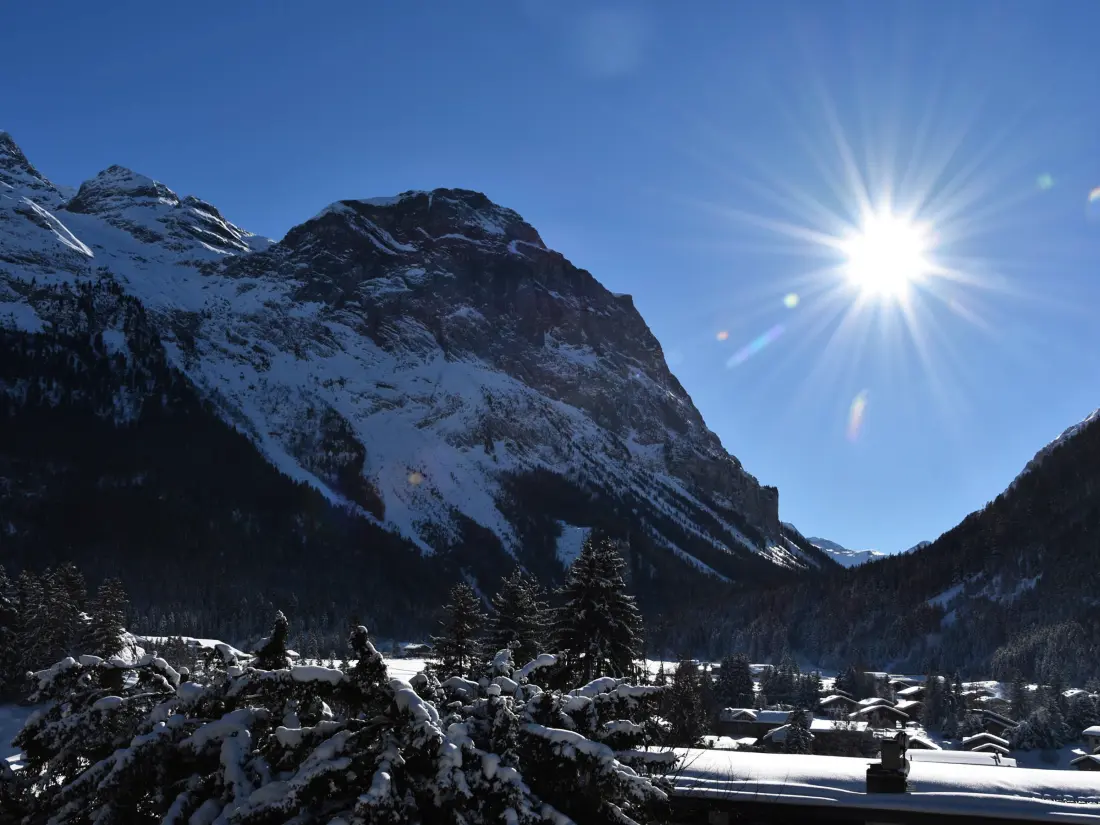 Location de Vacances Pralognan-la-Vanoise 178