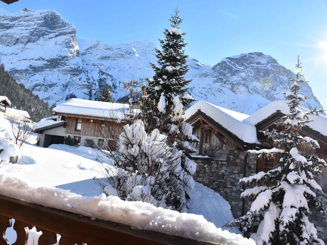 Location de Vacances Pralognan-la-Vanoise 179