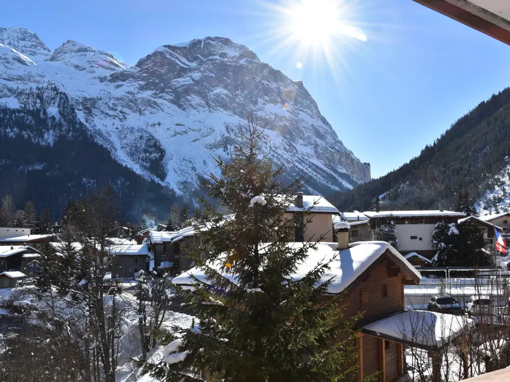 Location de Vacances Pralognan-la-Vanoise 180