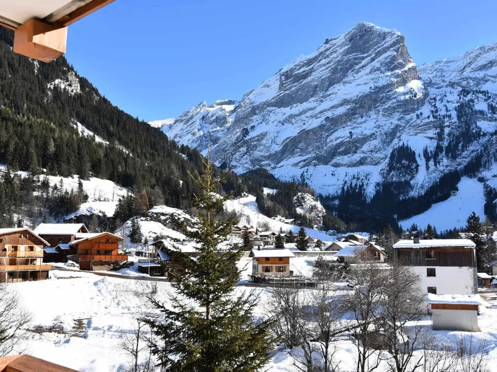 Location de Vacances Pralognan-la-Vanoise 180
