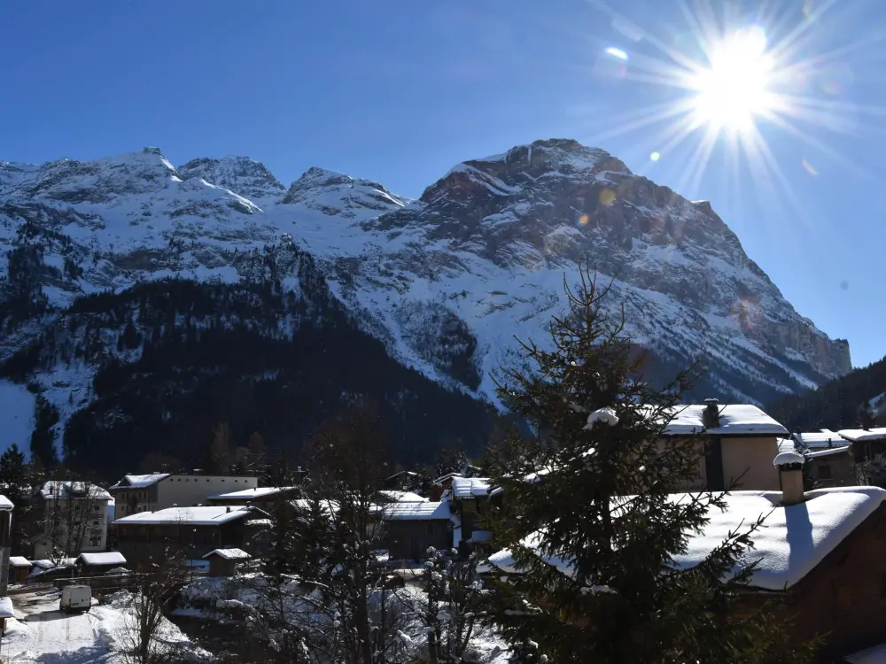 Location de Vacances Pralognan-la-Vanoise 180