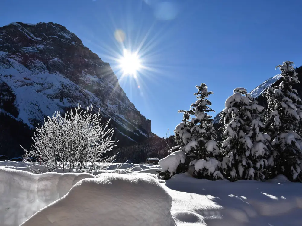 Location de Vacances Pralognan-la-Vanoise 184