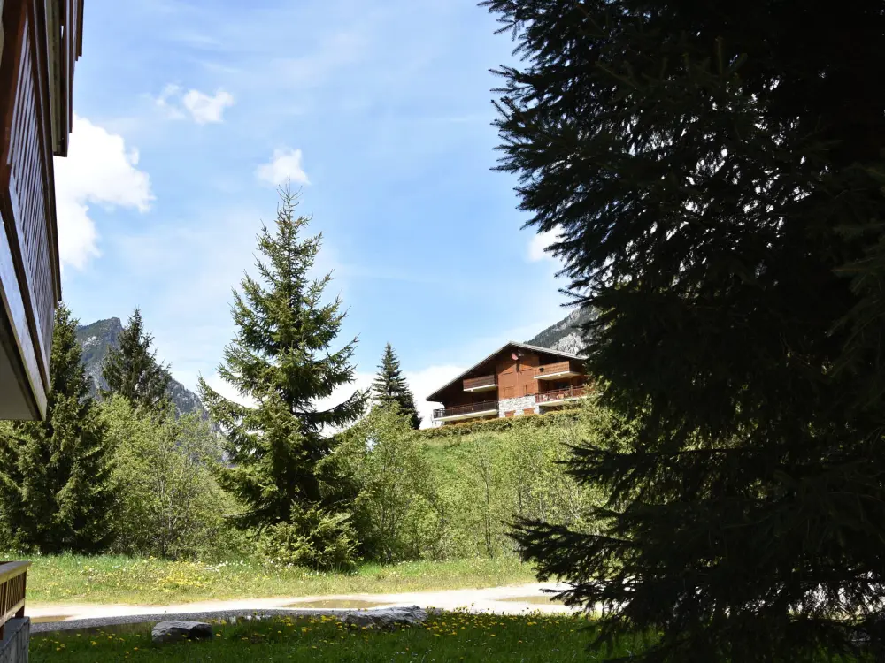 Location de Vacances Pralognan-la-Vanoise 190
