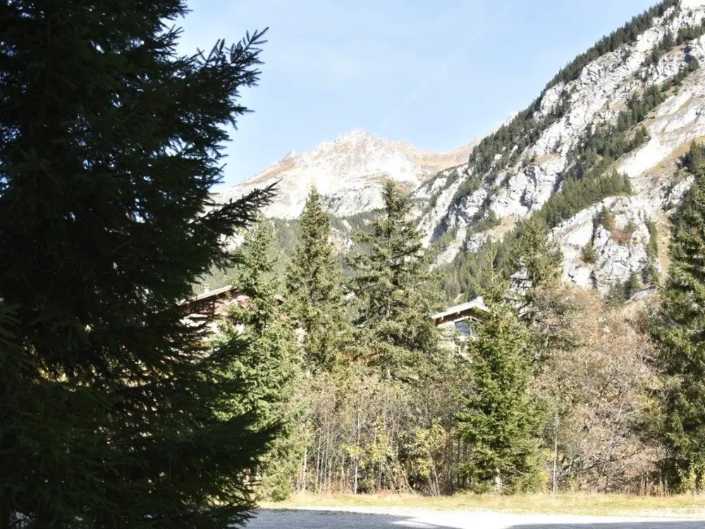 Location de Vacances Pralognan-la-Vanoise 190