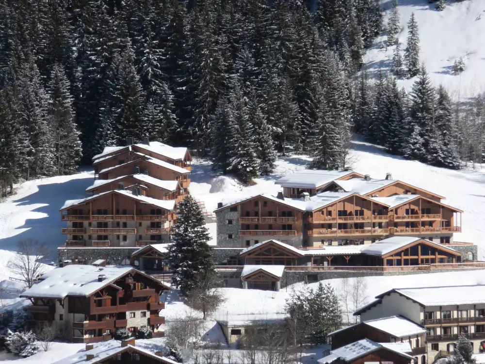 Location de Vacances Pralognan-la-Vanoise 194