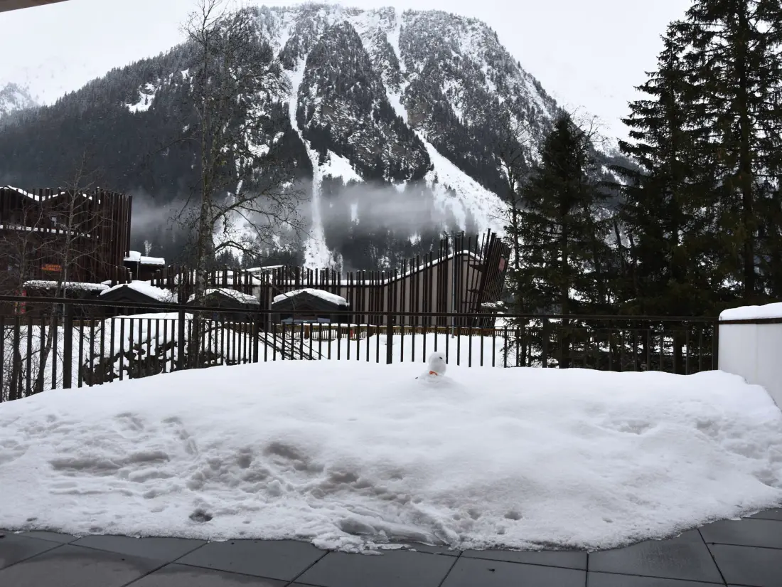 Location de Vacances Pralognan-la-Vanoise 202