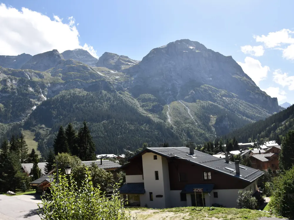 Location de Vacances Pralognan-la-Vanoise 214