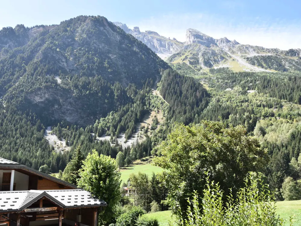 Location de Vacances Pralognan-la-Vanoise 214