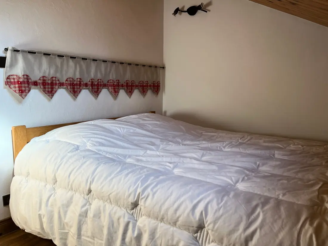 Location de Vacances Pralognan-la-Vanoise 226