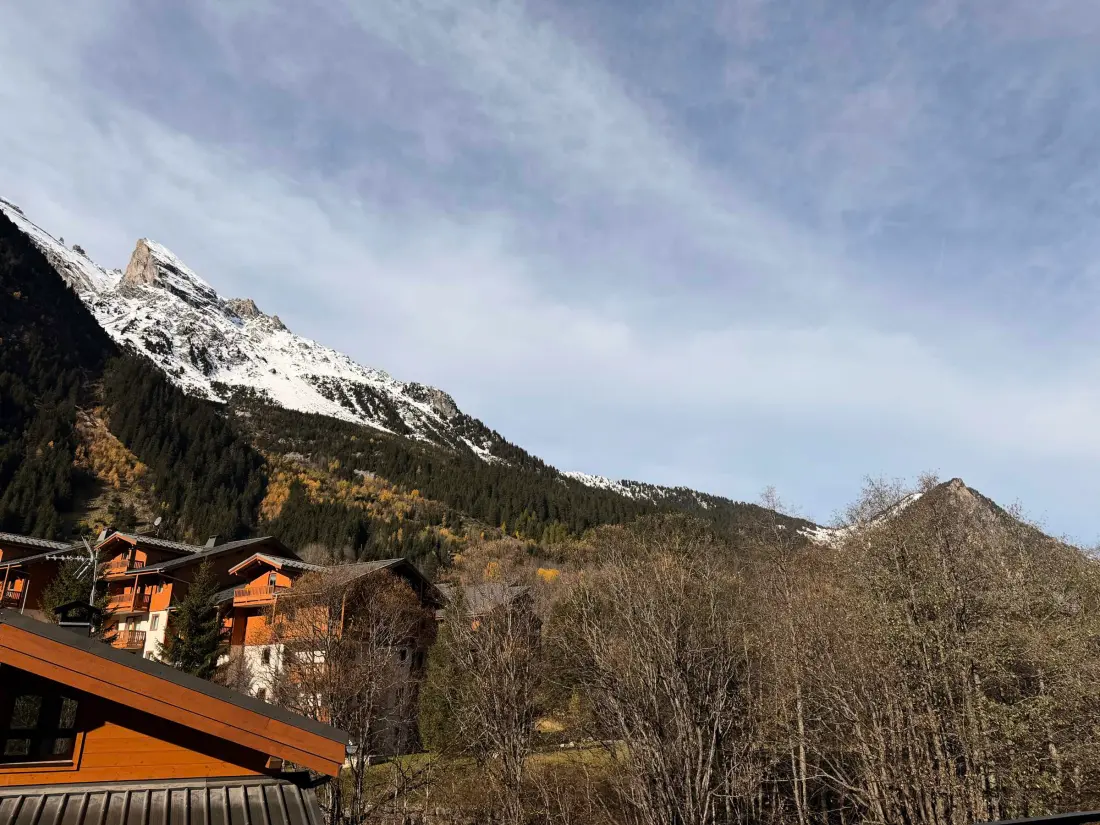 Location de Vacances Pralognan-la-Vanoise 228