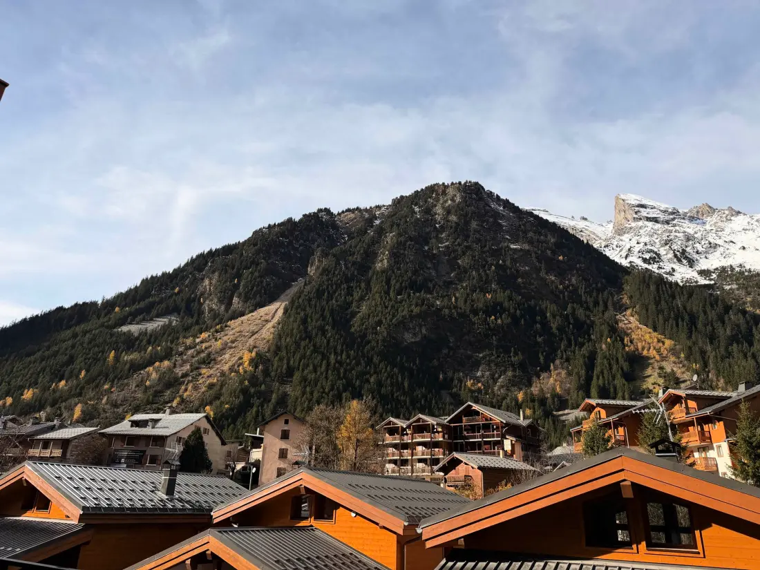 Location de Vacances Pralognan-la-Vanoise 228