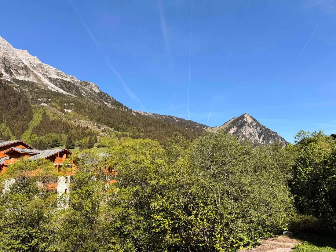 Location de Vacances Pralognan-la-Vanoise 233