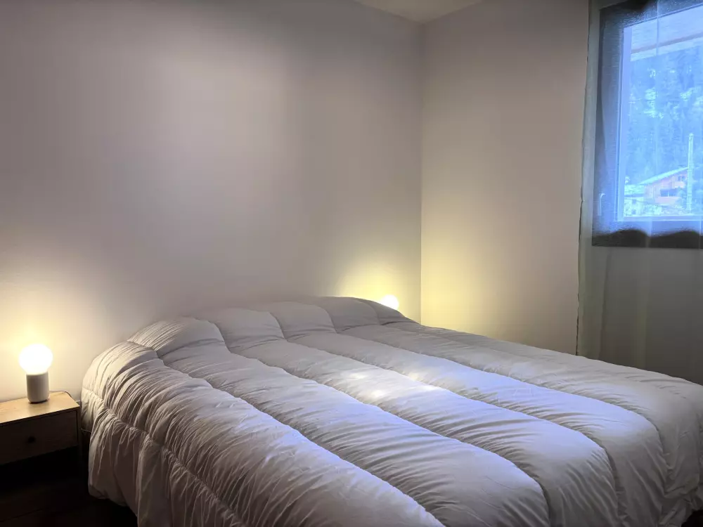 Location de Vacances Pralognan-la-Vanoise 234