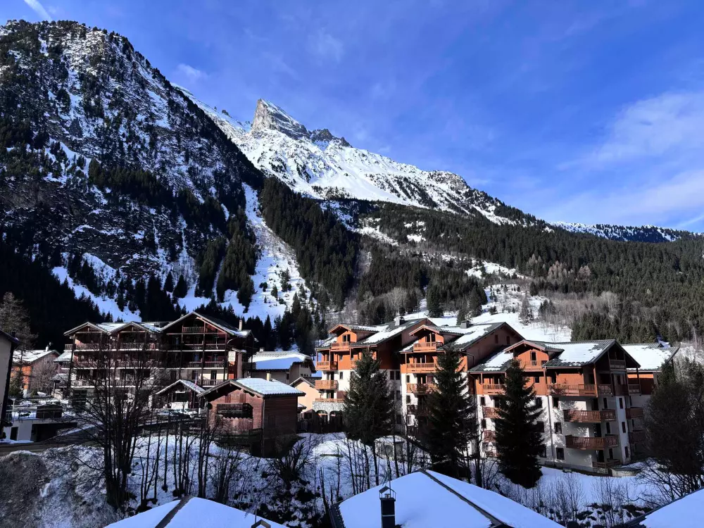Location de Vacances Pralognan-la-Vanoise 234