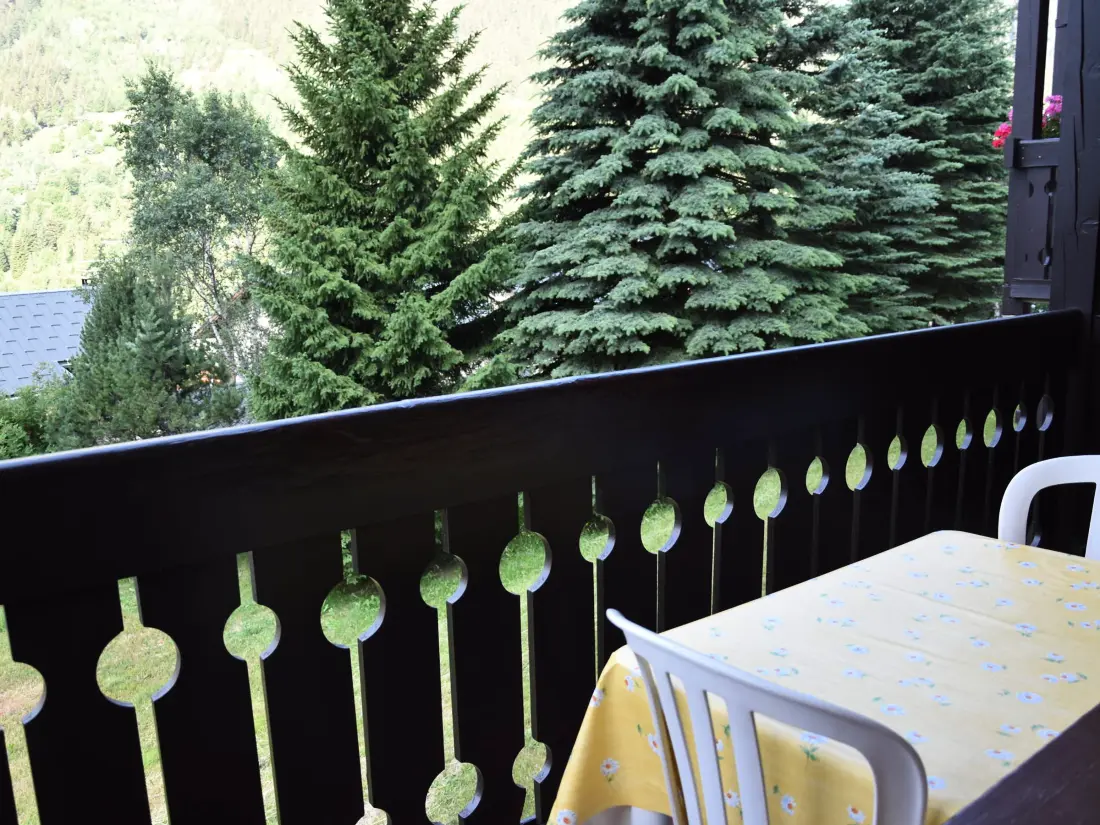 Location de Vacances Pralognan-la-Vanoise 236