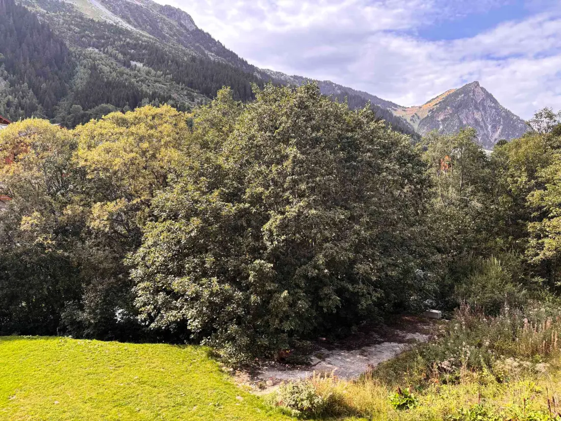 Location de Vacances Pralognan-la-Vanoise 241