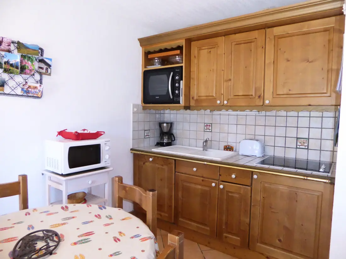 Location de Vacances Pralognan-la-Vanoise 29