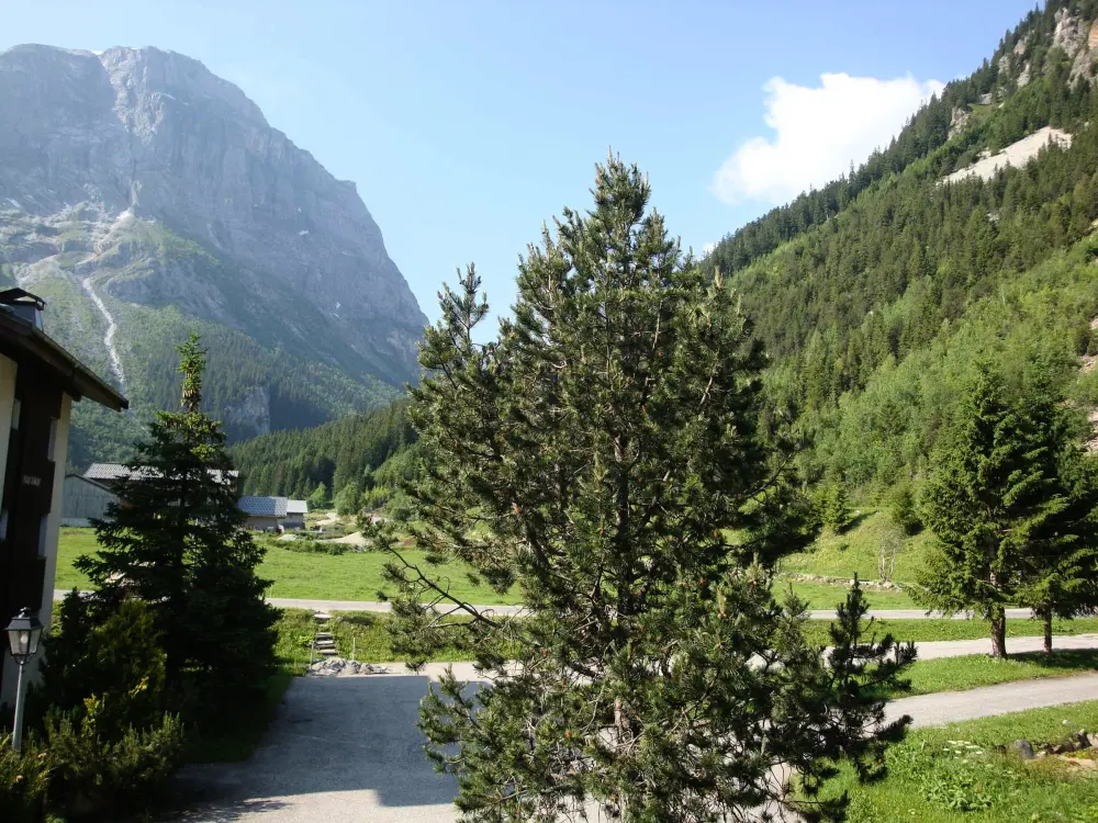 Location de Vacances Pralognan-la-Vanoise 30