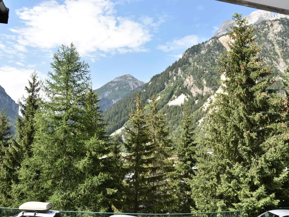 Location de Vacances Pralognan-la-Vanoise 49