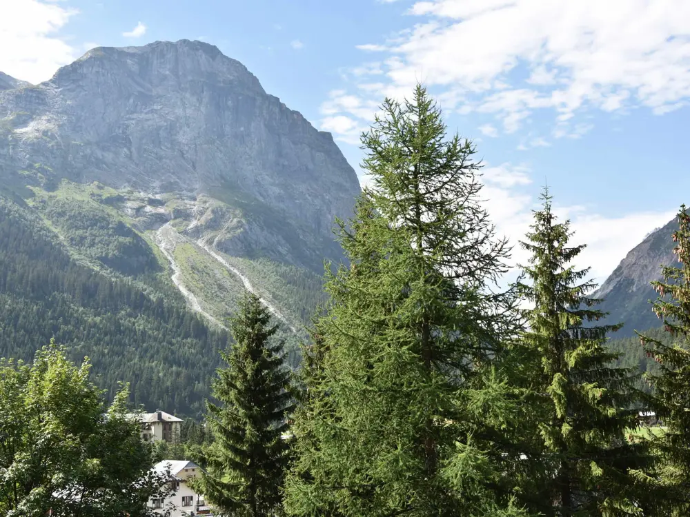 Location de Vacances Pralognan-la-Vanoise 49
