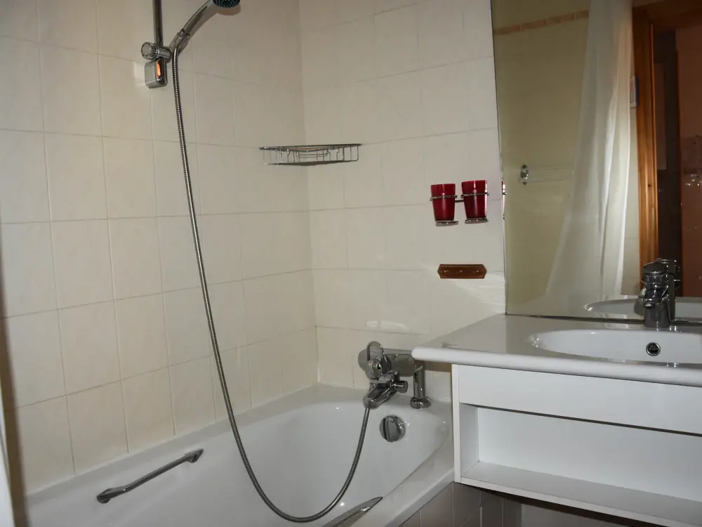 Location de Vacances Pralognan-la-Vanoise 87