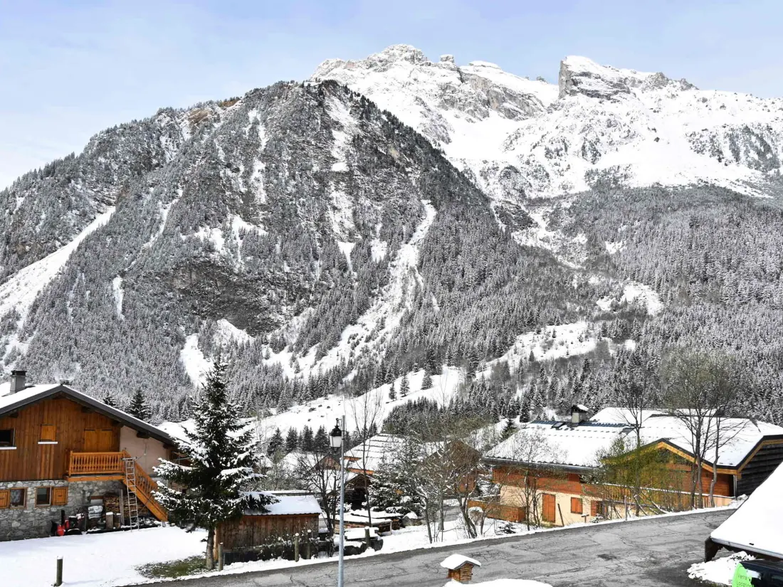 Maison de Vacances Pralognan-la-Vanoise 151