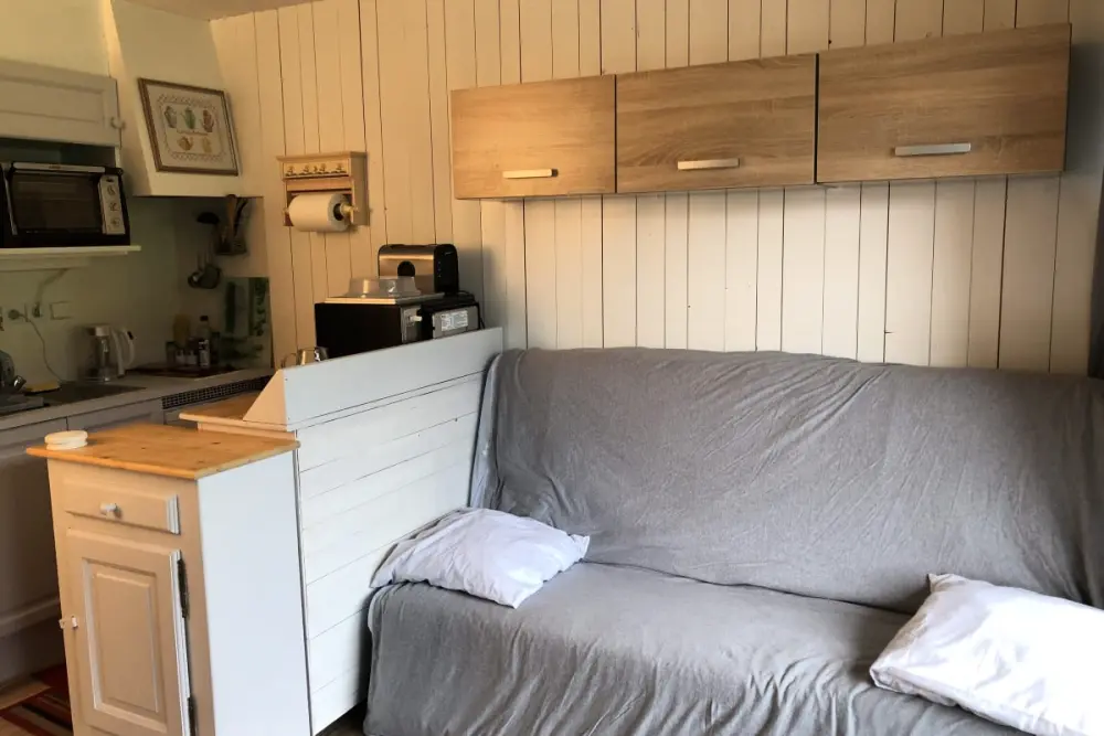 Studio Familial Proche Des Pistes De Praz-sur-arly