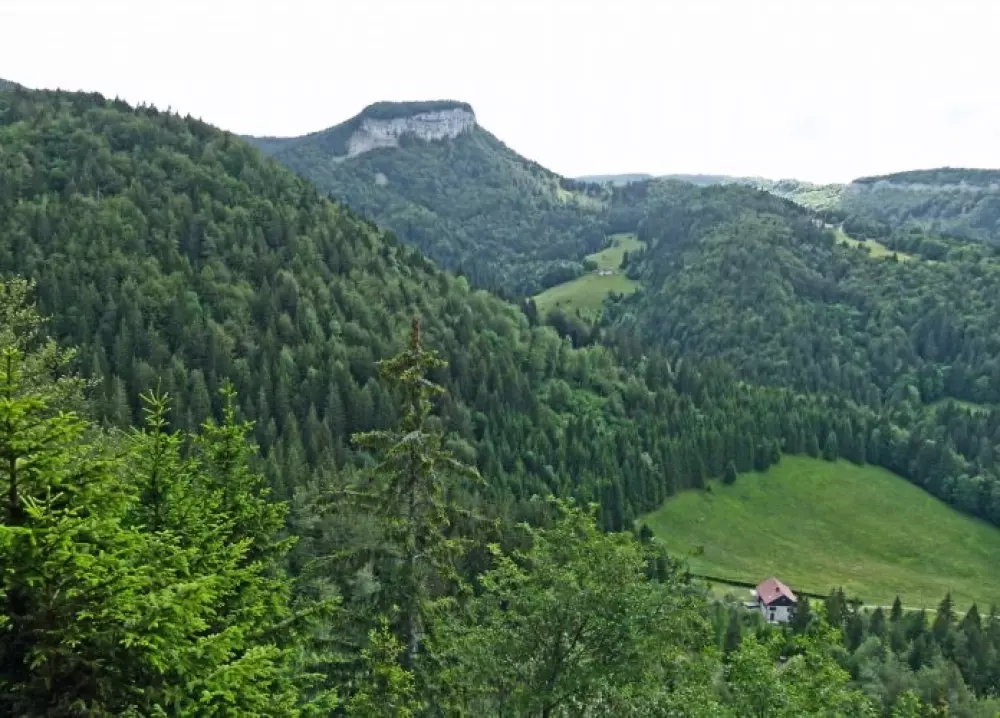 VVF Prémanon 3 étoiles★★★