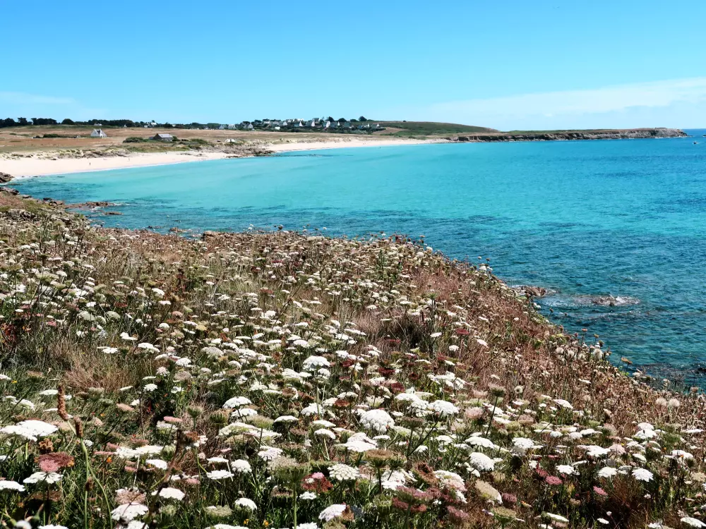 Maison de Vacances Primelin