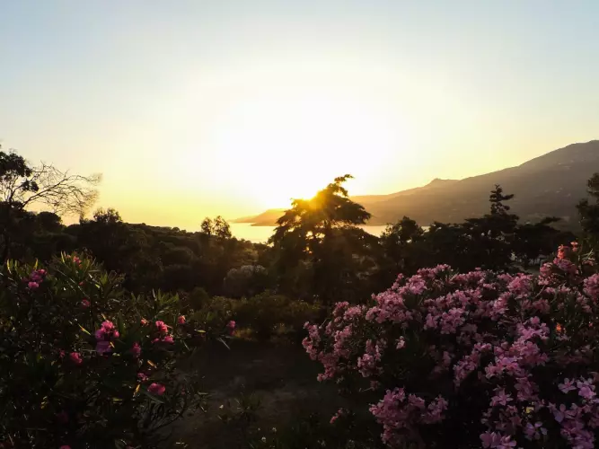 Camping Tikiti Location Propriano Corse