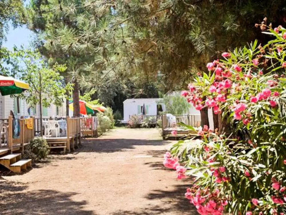 Camping Via Romana  3 étoiles★★★