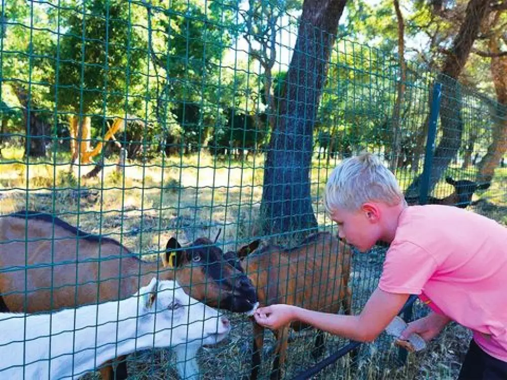 Camping Via Romana  3 étoiles★★★