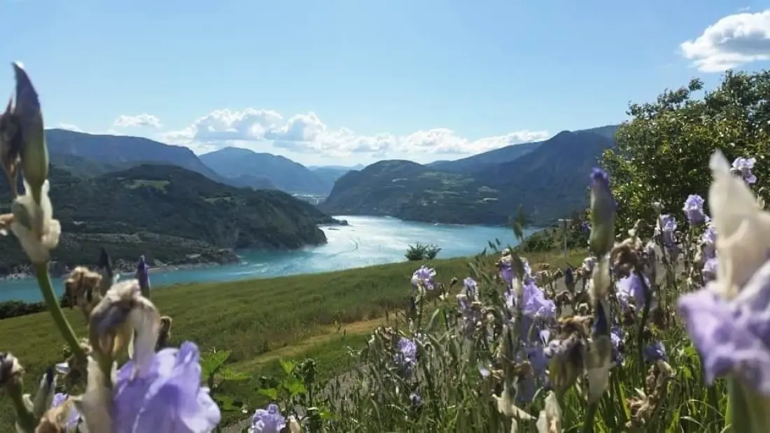 Camping Sunêlia La Presqu'île4 étoiles★★★★