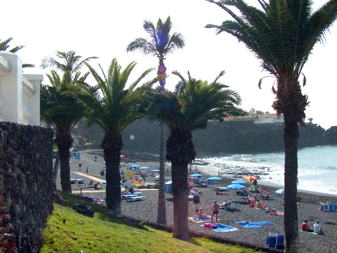 Location de Vacances Puerto de Santiago 4